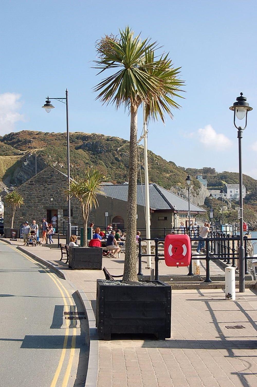 Hafan Y Traeth Front In *